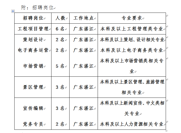 湛江最新招聘，科技革新引領(lǐng)未來招聘新體驗