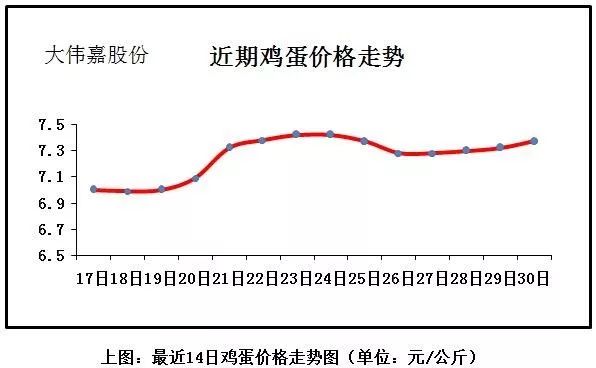 雞蛋價格走勢分析，洞悉行情變化，助力自信與夢想實現(xiàn)之路